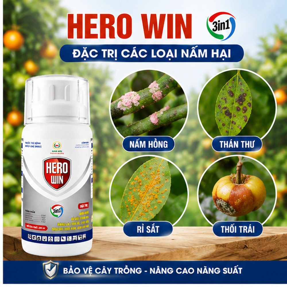 HERO_WIN_02_nam_hong_than_thu_ri_sat_thoi_trai