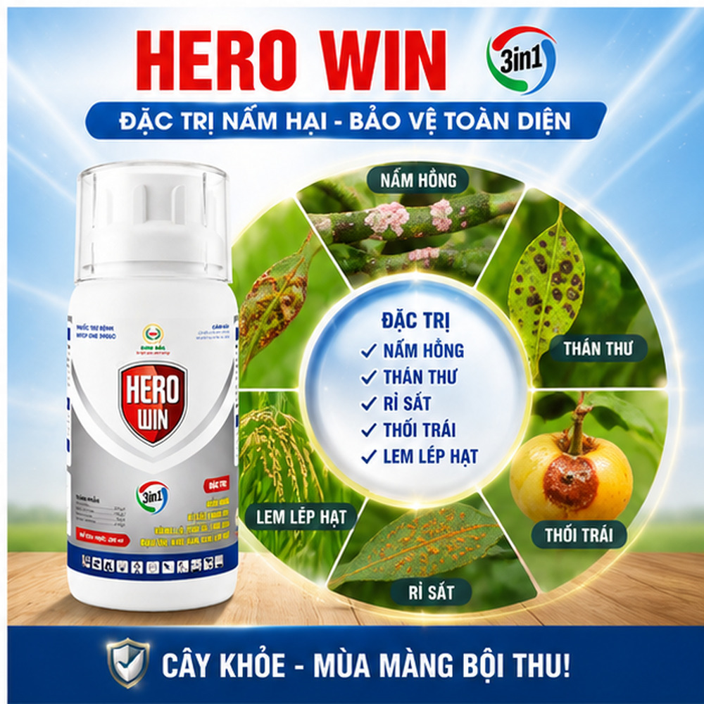 HERO_WIN_04_dac_tri_nam_hai